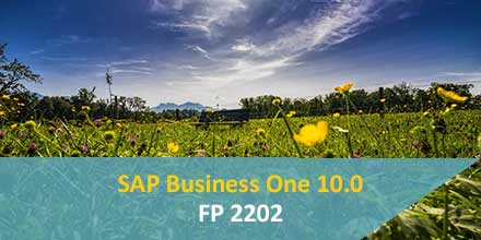 SAP Business One 10.0: se ha lanzado el FP2202